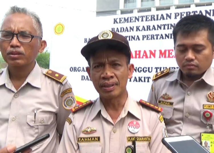 SEJUMLAH KOMODITAS ILEGAL DAN BERBAHAYA ASAL LUAR NEGERI, TERPAKSA DIMUSNAHKAN BALAI KARANTINA PERTANIAN BALIKPAPAN