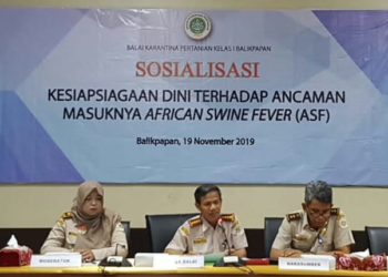 ANTISIPASI MASUKNYA AFRICAN SWINE FEVER,BALAI KARANTINA PERTANIAN BALIKPAPAN MENGGELAR SOSIALISASI KESIAPSIAGAAN DINI