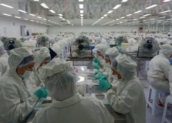 SAATNYA KALTIM MILIKI PABRIK PEMROSESAN SARANG BURUNG WALET,GUNA TINGKATKAN DEVISA NEGARA DAN SERAP TENAGA KERJA