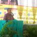 PAD SAMARINDA BELUM MENCAKUP SEMUA SEKTOR,KOMISI II BERHARAP 2020 MENINGKAT SESUAI HARAPAN