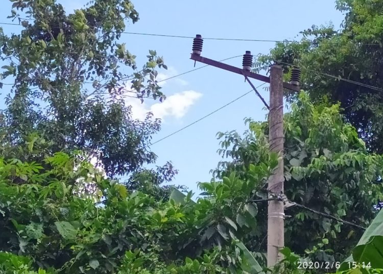 POHON TUMBANG,BIKIN SEBAGIAN KAWASAN SAMARINDA UTARA Ini Penyebabnya, Sebagian Listrik Padam Di Samarinda Utara