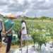 TINGKATKAN KOMPETENSI PETANI, BAZNAS TARAKAN AKAN GELAR PELATIHAN PETANI MANDIRI