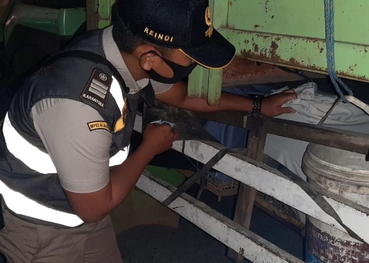 POLSUS KARANTINA PERTANIAN GAGALKAN PENYELUNDUPAN BURUNG