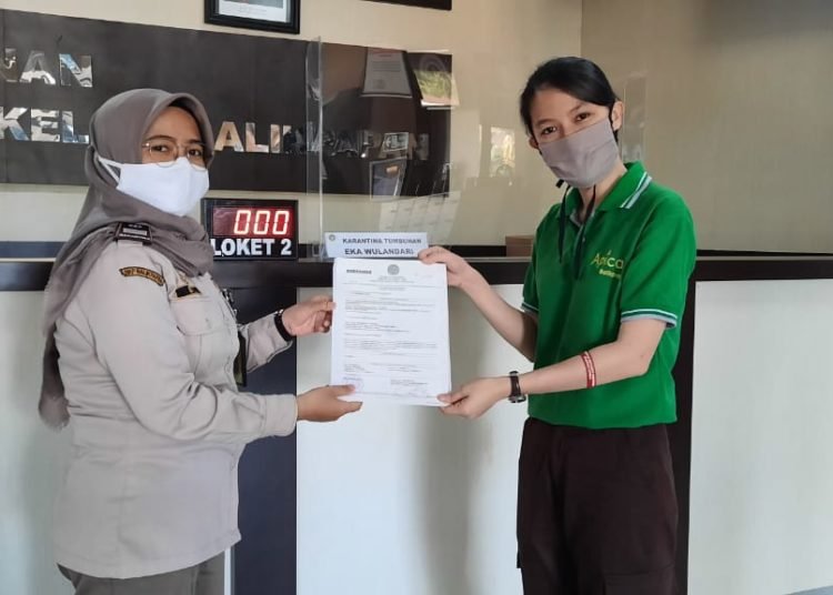 PRODUK OLAHAN SAWIT DOMINASI EKSPOR PERTANIAN BALIKPAPAN