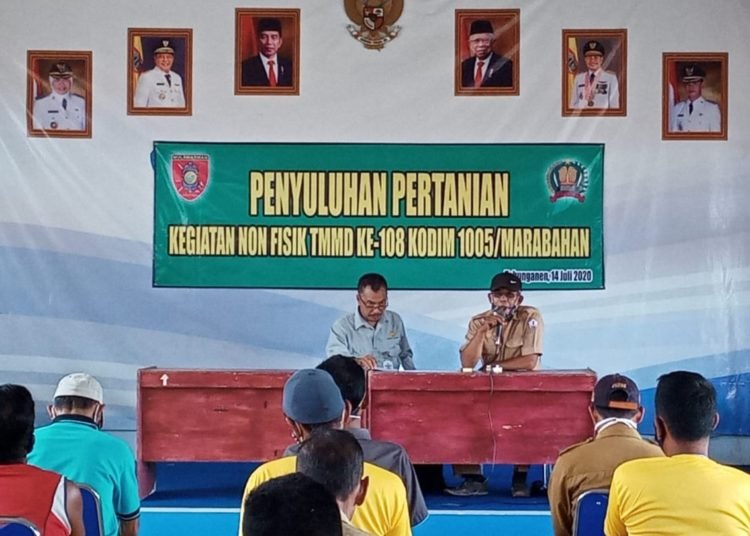 MASYARAKAT DAPAT PENYULUHAN PERTANIAN DARI SATGAS TMMD 108