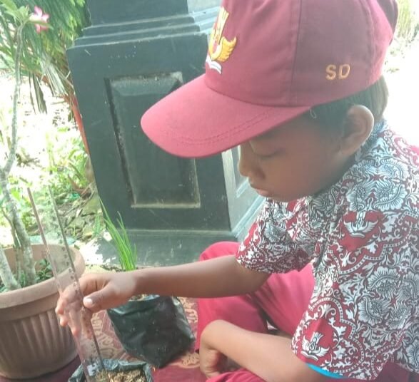 PEMBELAJARAN INOVATIF, MENANAM BAWANG LEWAT DARING