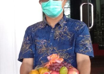 RSKD USULKAN PSIKOLOG DAMPINGI BUMIL COVID-19