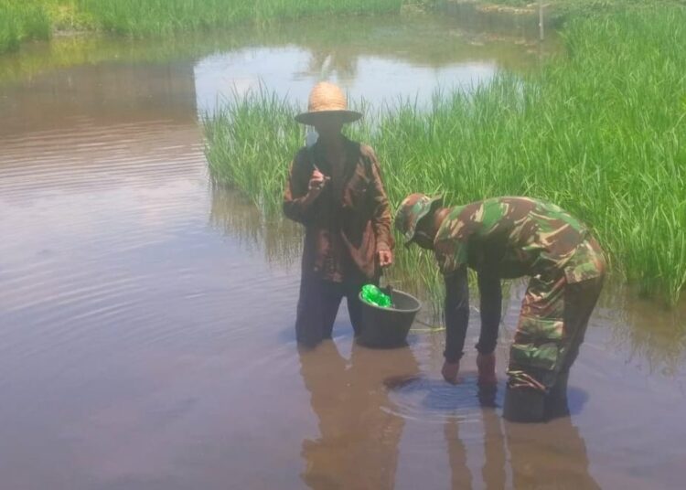 Disela-Sela Kegiatan TMMD Personil Satgas Semangat Membatu Petani