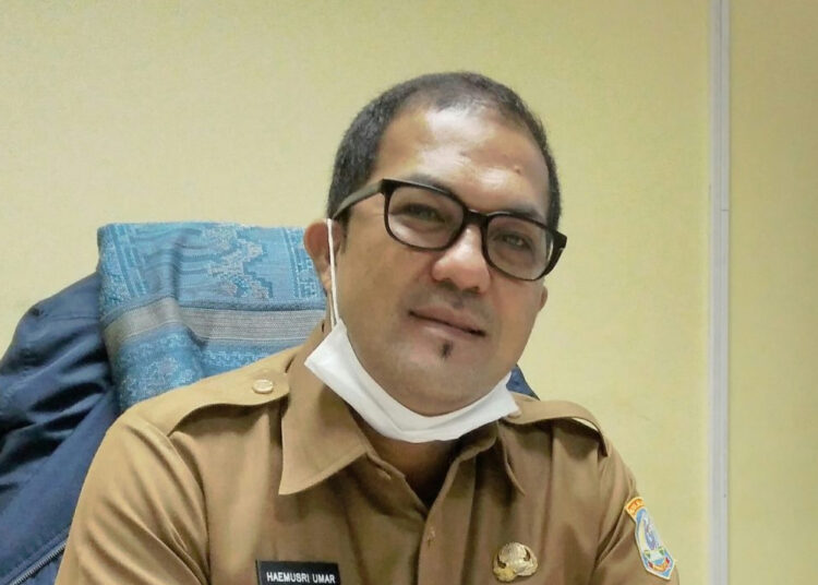 MESKI PANDEMI, PBB LAMPAUI TARGET