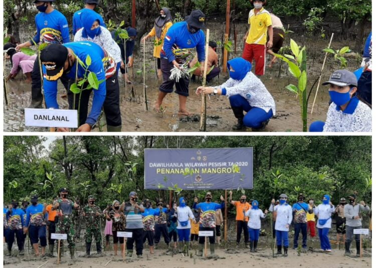LANAL BALIKPAPAN DAN PEMKAB PPU TANAM 1.000 MANGROVE