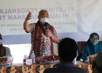 KETUA SATGAS COVID-19 INGATKAN PANDEMI HINGGA KE KAMPUNG