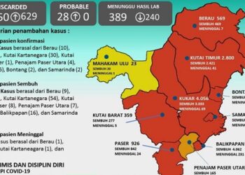 KASUS SEMBUH MELEBIHI KASUS POSITI