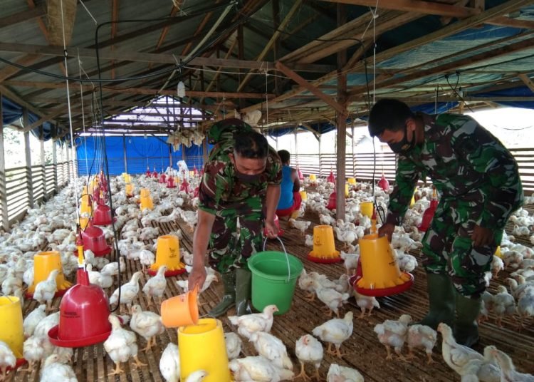 WARGA RASAKAN DAMPAK POSITIF TMMD