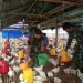 WARGA RASAKAN DAMPAK POSITIF TMMD