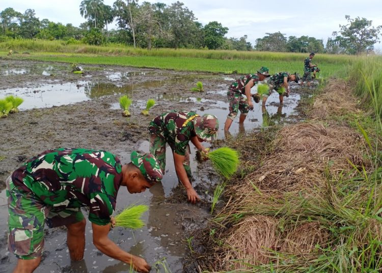SATGAS YONIF 611/AWL PERKUAT KETAHANAN PANGAN MASYARAKAT
