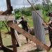 SATGAS YONIF 611/AWANG LONG BANTU BEDAH RUMAH WARGA DI PAPUA