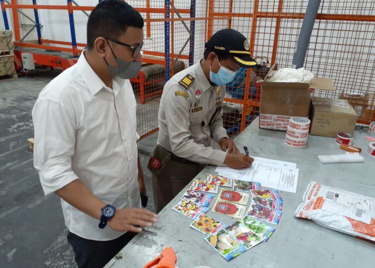 KARANTINA PERTANIAN BALIKPAPAN SITA BENIH ILEGAL ASAL AS
