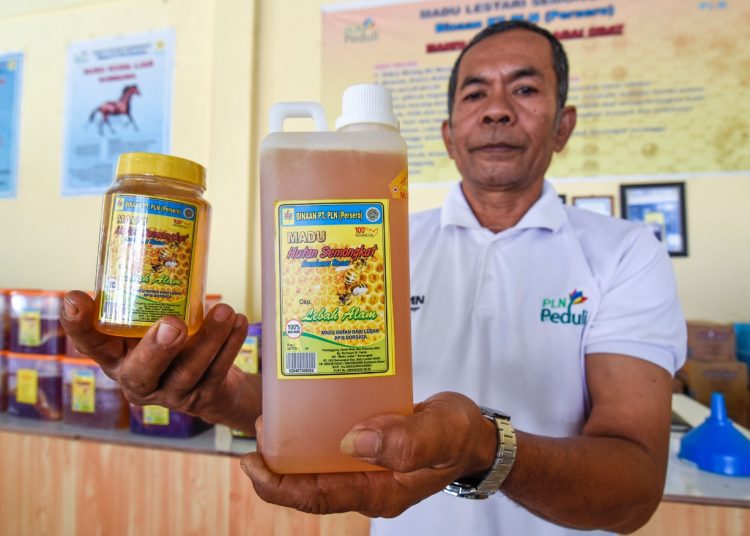 PEDULI UMK, PLN KUCURKAN BANTUAN HINGGA 100 M