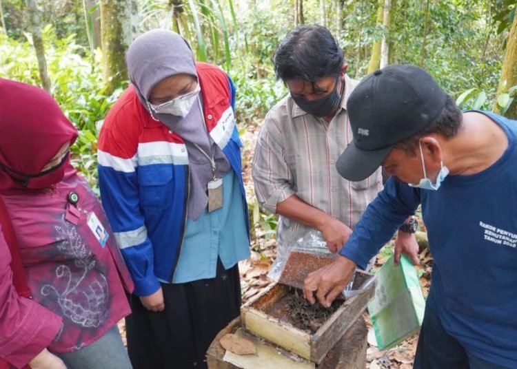 PERTAMINA DUKUNG BUDIDAYA LEBAH KELULUT