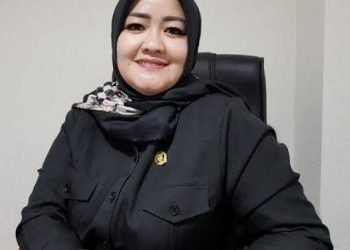 NOVIA MINTA PDPAU MILIKI PROGRAM BISNIS BARU