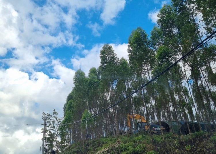 SAMBUT PRESIDEN,  PLN JAMIN SUPLAI LISTRIK