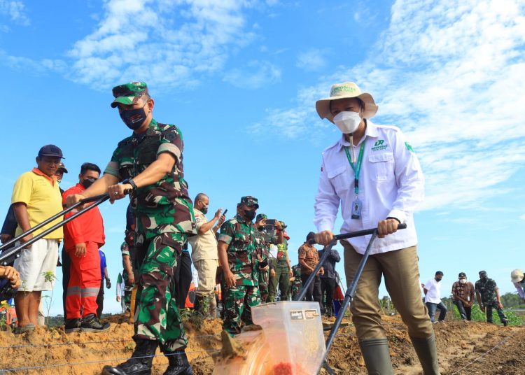 KODAM VI/MLW GELAR PENANAMAN PERDANA DEMFARM ESTATE