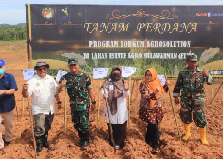 KODAM VI/MLW JADI PELOPOR PENANAMAN SORGUM