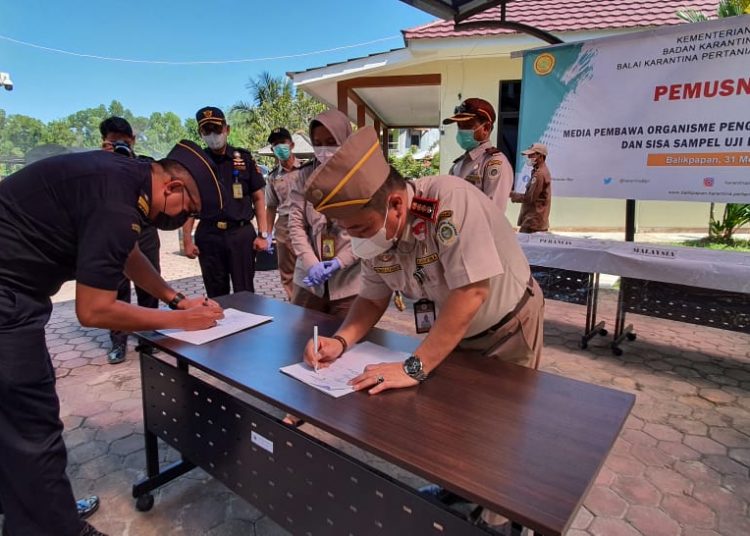 KARANTINA PERTANIAN MUSNAHKAN BENIH TANPA DOKUMEN