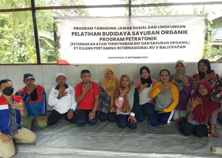 KPI DAMPINGI PELATIHAN BUDIDAYA SAYURAN