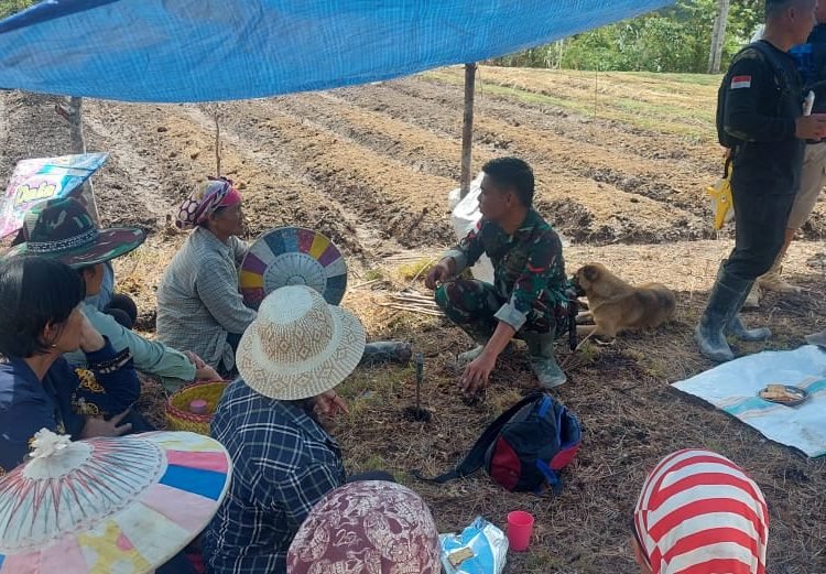 SATGAS PAMTAS BERI PELATIHAN PERTANIAN