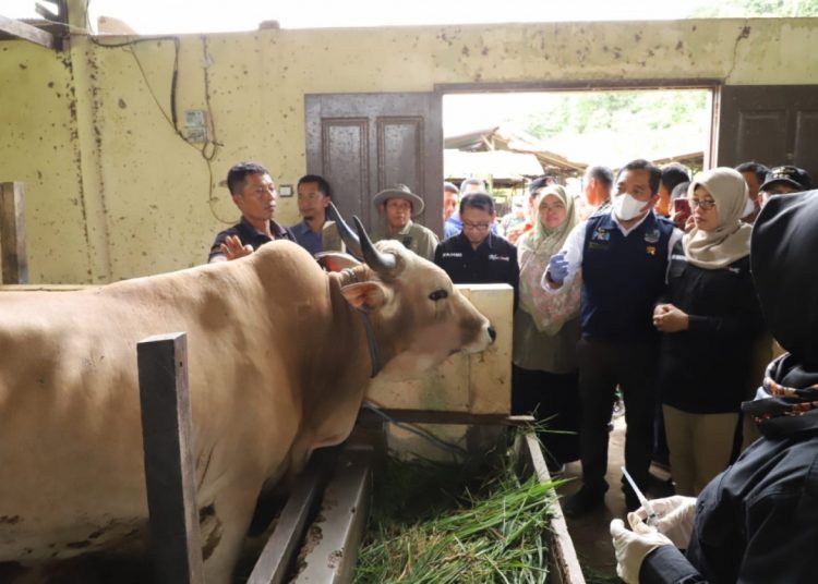 KALTIM AKHIRNYA BEBAS PMK