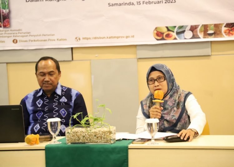 KALTIM KEMBANGKAN PERKEBUNAN SELUAS 745 HEKTAR