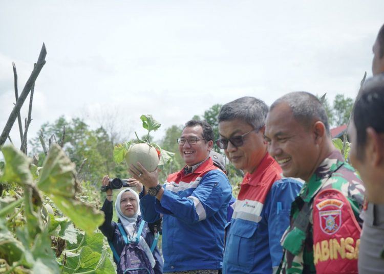 PANEN BERSAMA TANDAI PELUNCURAN KENARI KPI