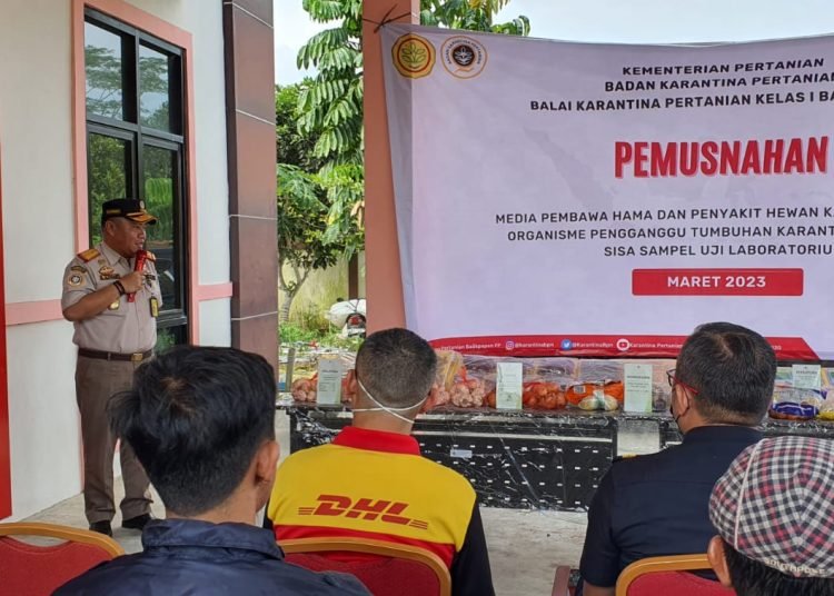 KARANTINA MUSNAHKAN KOMODITAS PERTANIAN ILEGAL