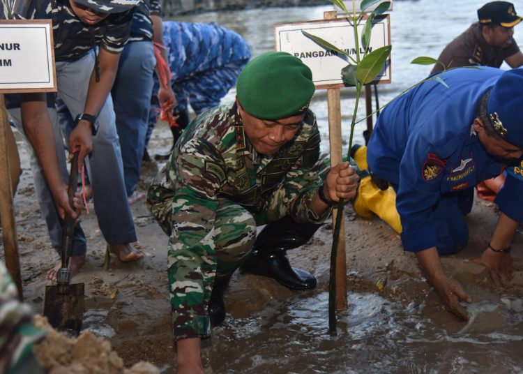 KODAM VI/MLW SUKSESKAN PENANAMAN MANGROVE NASIONAL