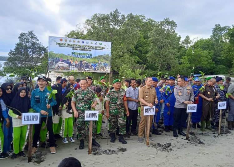 CEGAH ABRASI, DPRD SUARAKAN ANGGARAN MANGROVE