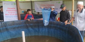 BINAAN BDI PANEN PERDANA LELE