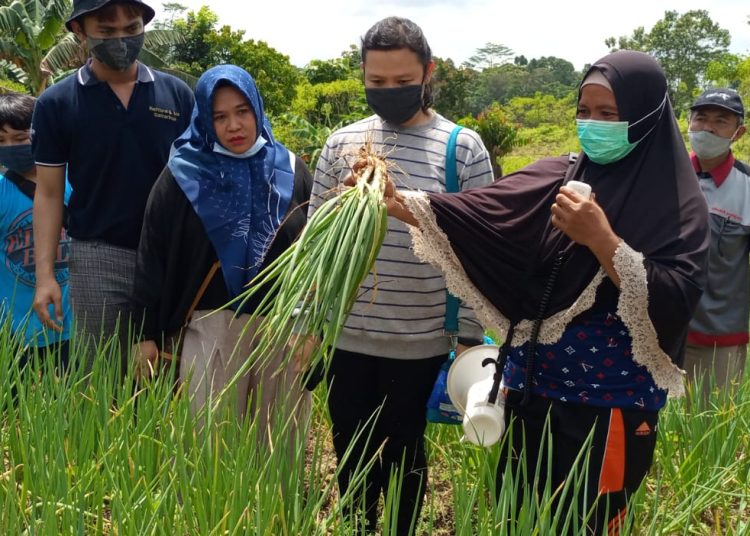 DPRD DESAK PEMKOT PERTAHANKAN LAHAN PERTANIAN
