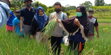 DPRD DESAK PEMKOT PERTAHANKAN LAHAN PERTANIAN