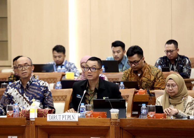 DPR DUKUNG PENGEMBANGAN SMART METER