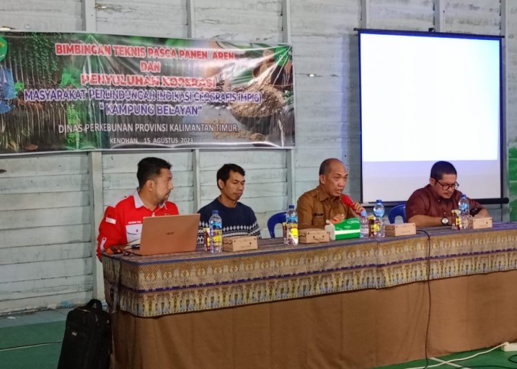 PEMERINTAH DORONG PERTUMBUHAN AREN LOKAL