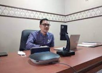 DISKOMINFO INGATKAN PILAR LITERASI DIGITAL