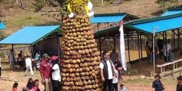 DESA BATUAH TERUS PROMOSI DEWI BELAI