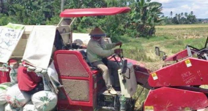 SAMBOJA BARAT GALI POTENSI PERTANIAN