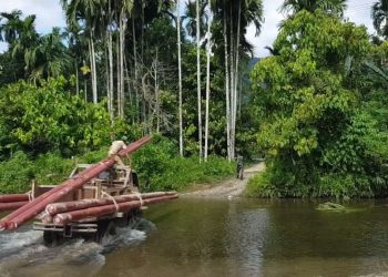 SONGSONG HLN, ELEKTRIFIKASI NASIONAL CAPAI 99%