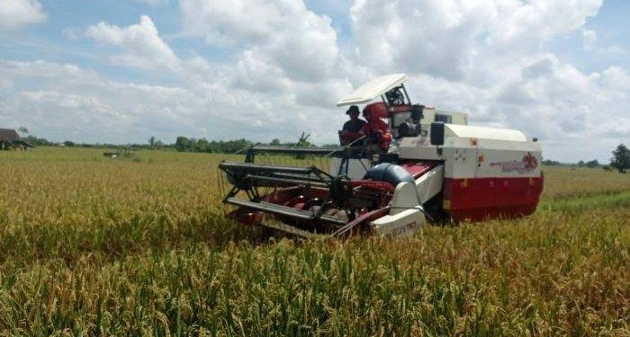 KUKAR PRIORITASKAN PENGEMBANGAN PERTANIAN