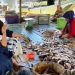 PRODUK IKAN ASAL KUKAR TEMBUS PASAR NASIONAL