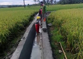 PU BANGUN IRIGASI SEPANJANG 6 KM DI LOH SUMBER