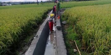 PU BANGUN IRIGASI SEPANJANG 6 KM DI LOH SUMBER