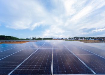 PLN SIAP DUKUNG KOTA HIJAU IKN